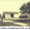 1906_Maplewood Barns